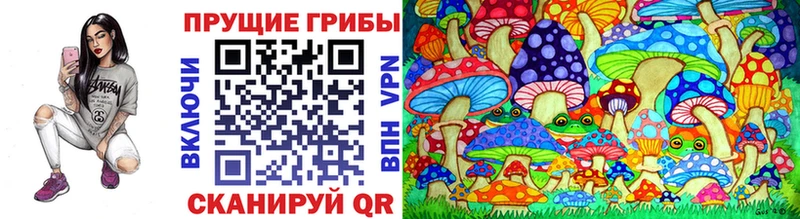 Галлюциногенные грибы Cubensis  Вельск 